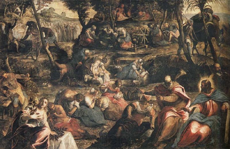 Jacopo Tintoretto Gathering of Manna Norge oil painting art